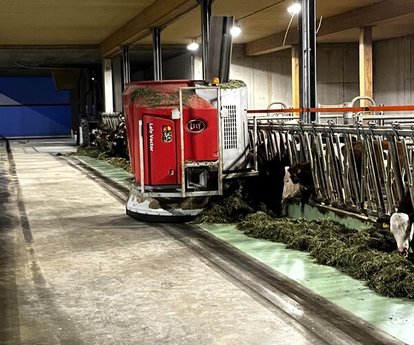 Der Fütterungsroboter schiebt nicht nur das Futter zum Gatter, sondern berechnet die benötigte Futtermenge. | © Oliver Hermann, YSE Swiss Engineering Der Fütterungsroboter schiebt nicht nur das Futter zum Gatter, sondern berechnet die benötigte Futtermenge. | © Oliver Hermann, YSE Swiss Engineering