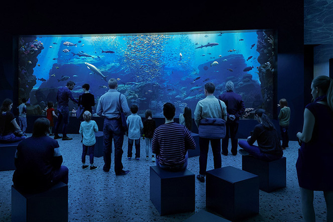 Computerdarstellung des neuen Hai-Aquariums in Olomouc. | © Brugg