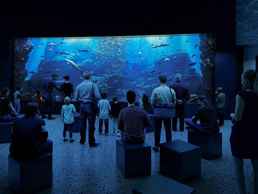 Computerdarstellung des neuen Hai-Aquariums in Olomouc. | © Brugg